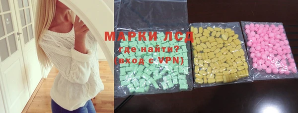 индика Дмитриев
