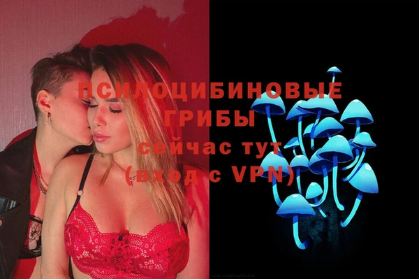 MDMA Premium VHQ Верхний Тагил