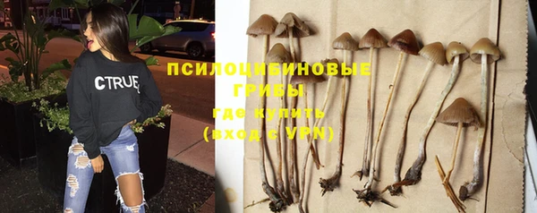 кокс Верея